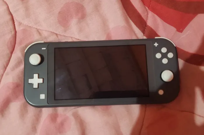 Nintendo Switch Lite Cinza