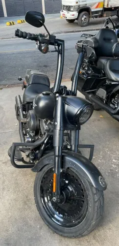 HD Softail Fat Boy 2010 Special 