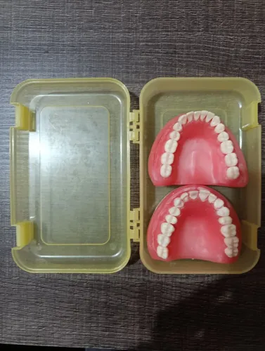 Manequim de odontologia