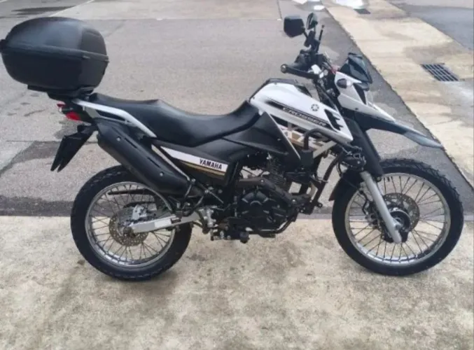 Xtz 2019