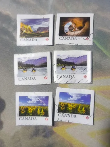 LOTE SELO CANADÁ