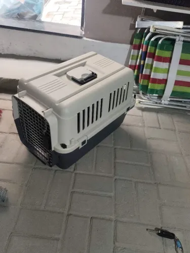 Transporte pra pets
