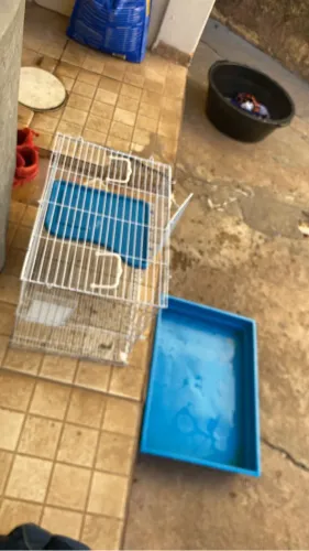 VENDO GAIOLA