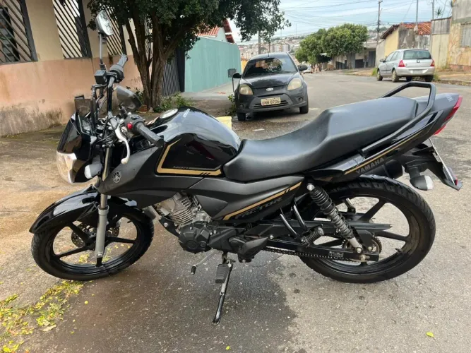 Yamaha factor 150 2024