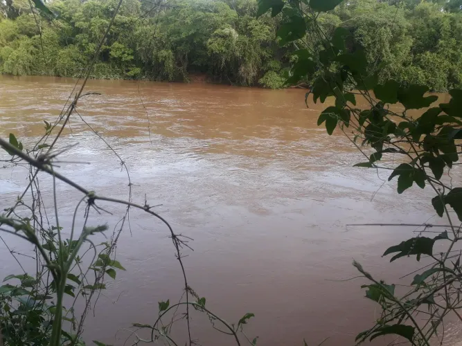 Chacaras  parceladas  em  palmeiras  na  beira do rio aquidauana  