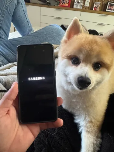 Samsung Galaxy A30s 64gb 100%