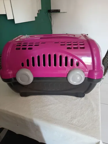 Doação uma caixa de transporte grande e duas gatinhas