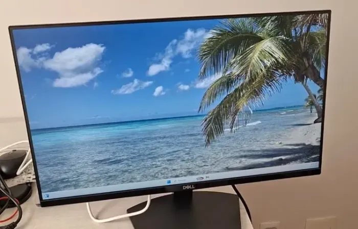 Monitor Dell 24" modelo SE2419HR