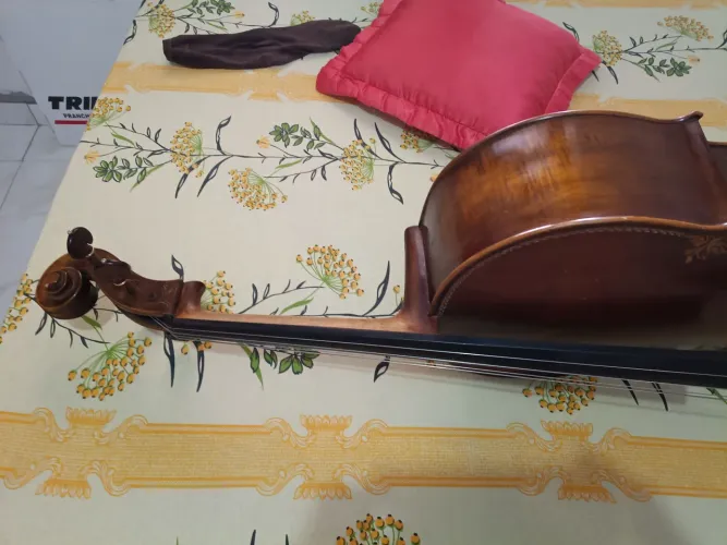 Violoncelo de author chinês
