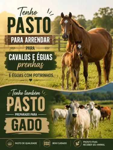 Arrendamento de pasto