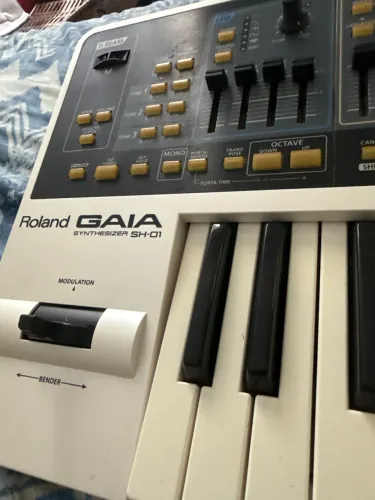 Vendo Sintetizador Roland Gaia SH -01