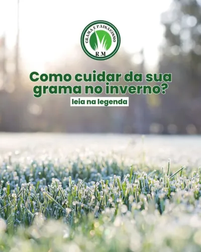 Grama Esmeralda Premium Jardim Sempre Verde e Bonito 