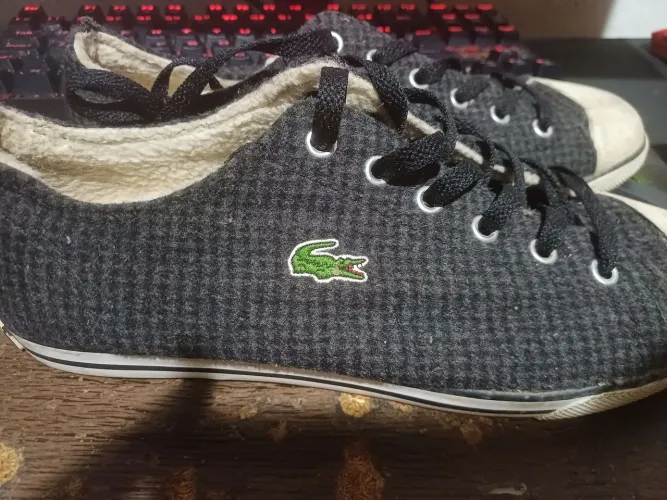 Tênis lacoste original