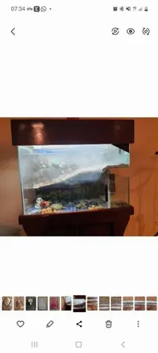 Terrario com móvel lâmpada aquecedor e bomba para retirar