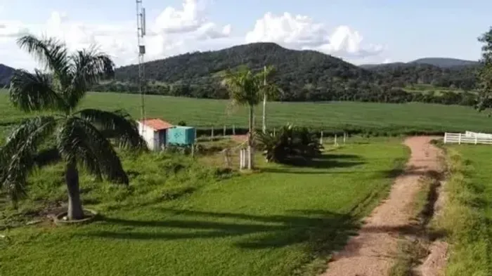 Fazenda de 62 alqueires em São Francisco-GO