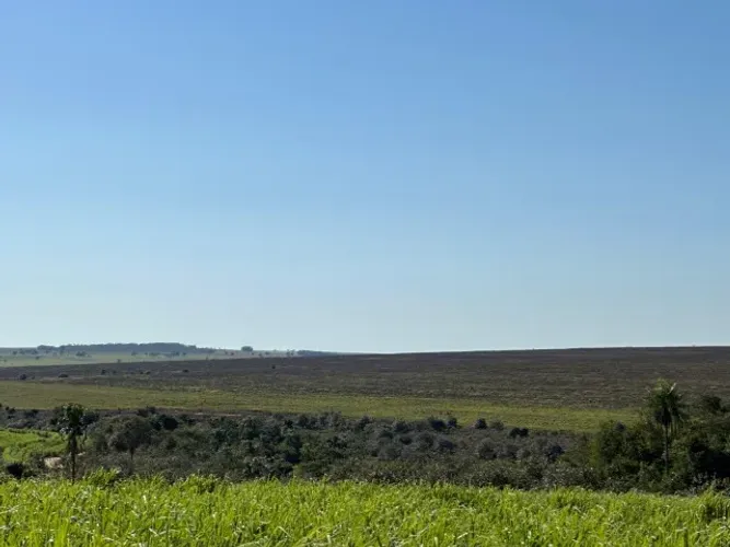 NAVIRAI-MS. 504 HECTARES