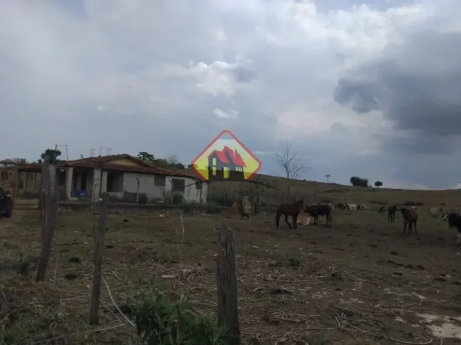 Arrendo de área de 3 mil m², em Pindamonhangaba, com casa, mangueiro e deposito.