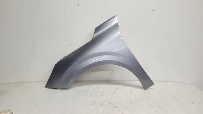 Paralama peugeot 208 20/24
