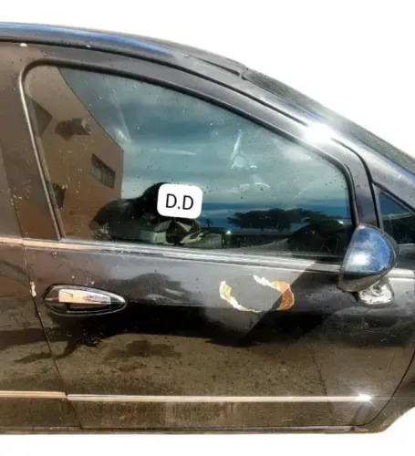 Porta Dianteira Fiat Linea 2015 Detalhes S/acessórios