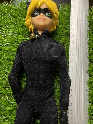 Chat Noir Miraculous Ladybug
