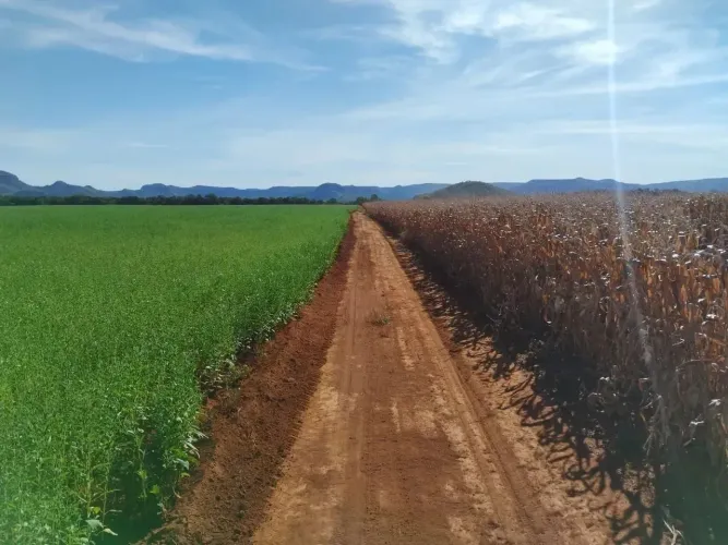 Fazenda a venda, em Monte do Carmo Tocantins!