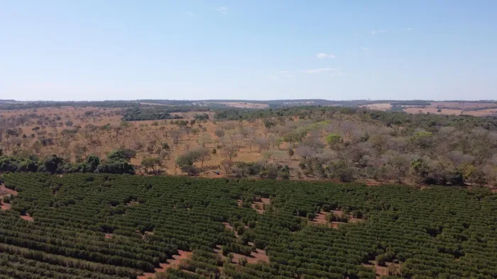Fazenda na região de Martinesia boa pra café