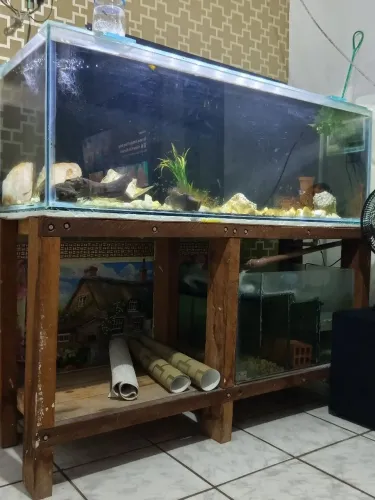 Aquário 500 litros