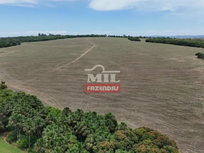 Fazenda 38 alqueires (183,92 hectares) Morrinhos - Go