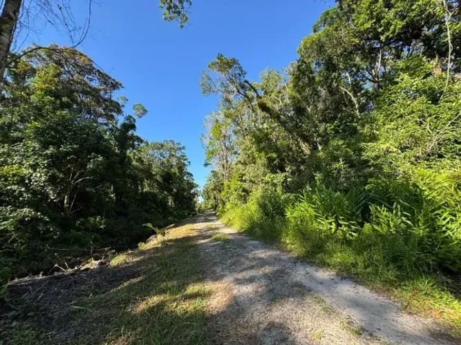Terrenos em São Francisco do Sul