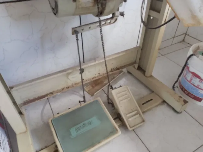 Máquina de costura protex
