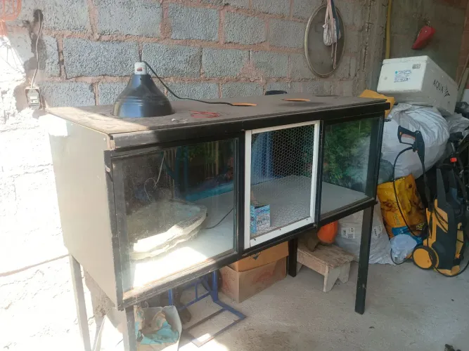 Terrário para roedores ou repteis