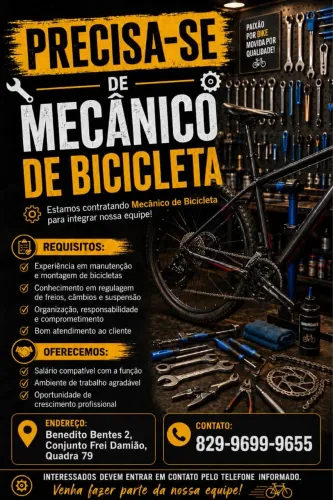 Precisa de Mecânica de Bicicleta