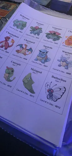 Todos os 1025 pokemons imprimidos