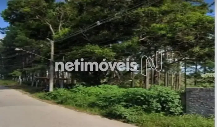 Venda Lote-Área-Terreno Jardim Campestre Embu-guaçu