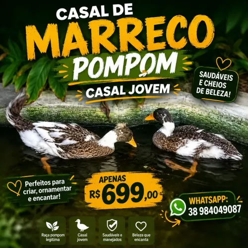 Marreco Pompom 