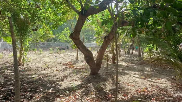 Casa com terreno no Trairi-Ce
