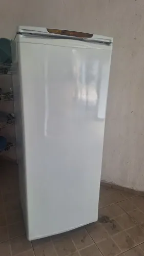 Freezer vestical