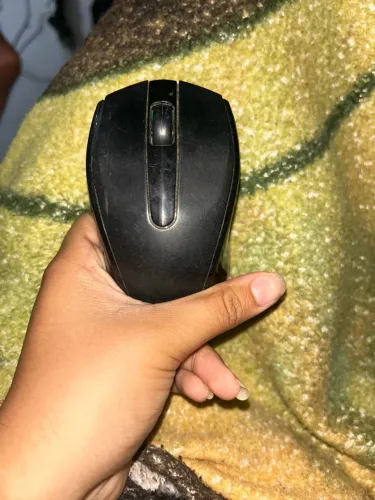 Mouse