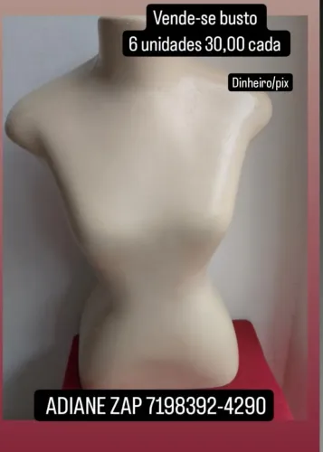 Busto manequim feminino 