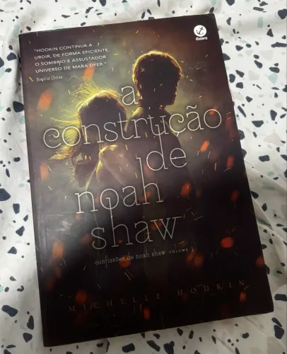 Livro: A Construção de Noah Shaw - Michelle Hodkin