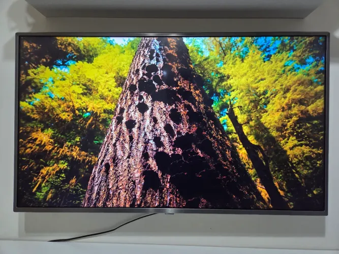 TV LG Smart 4k 43 polegadas