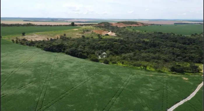 FAZENDA COM TERRAS RARAS E MINERAÇÃO DE CAULIM E AGROPECUÁRIA