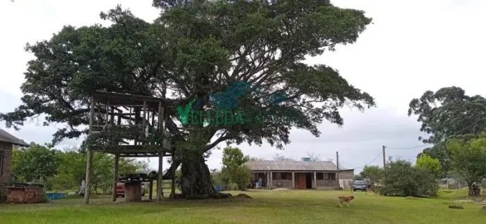 Velleda oferece espetacular sítio fora de condomínio com terreno plano de 2.800m² e linda