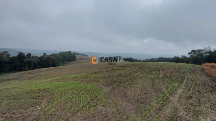 CHACARA RURAL em LAPA - PR, Itabaúna