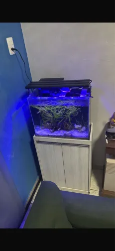 Aquário 50 Litros