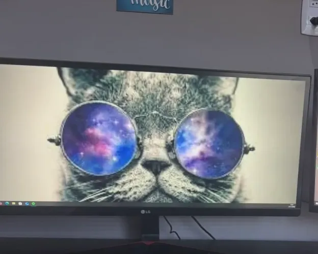 monitor ultrawide 29