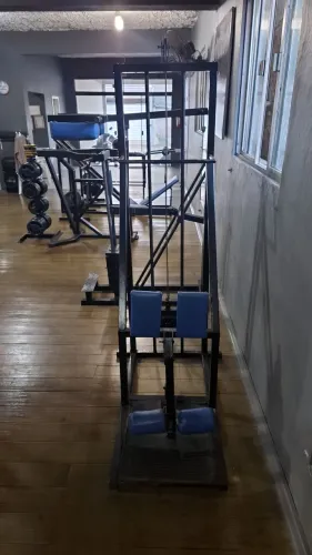  Mesa Flexora Vertical.