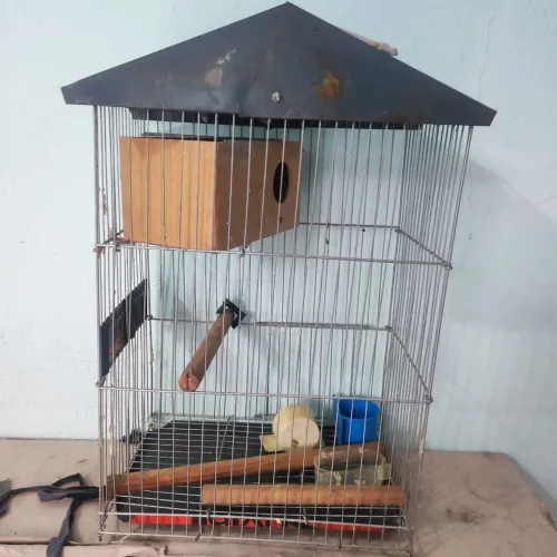 Gaiola para passarinho