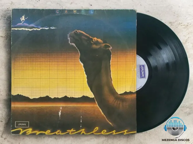 Lp Camel 