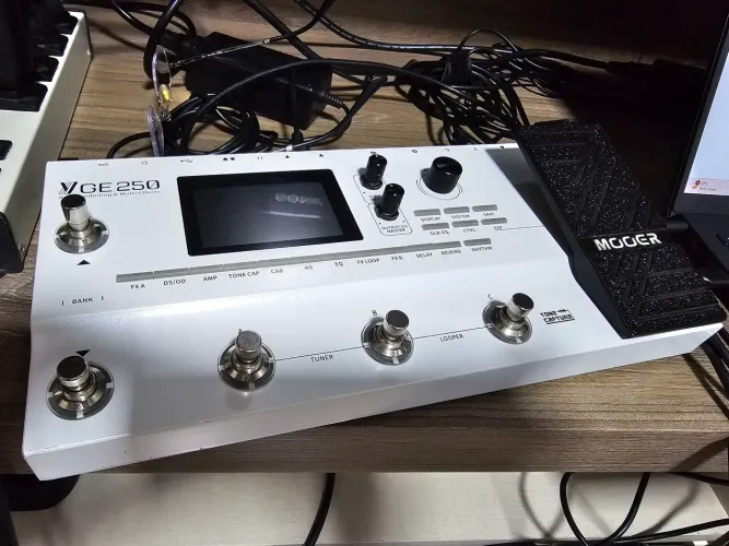MOOER GE 250